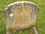 image number Warren Alfred Edward  311